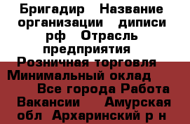 Бригадир › Название организации ­ диписи.рф › Отрасль предприятия ­ Розничная торговля › Минимальный оклад ­ 35 000 - Все города Работа » Вакансии   . Амурская обл.,Архаринский р-н